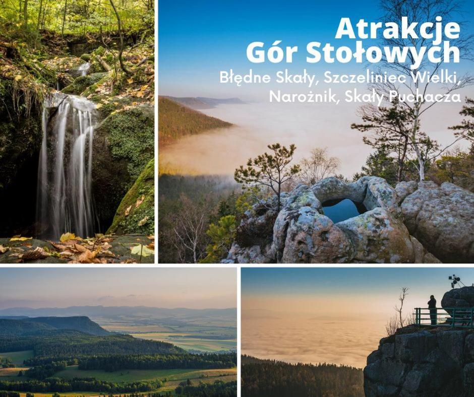 Domek Skowronek ซชิทนา ภายนอก รูปภาพ